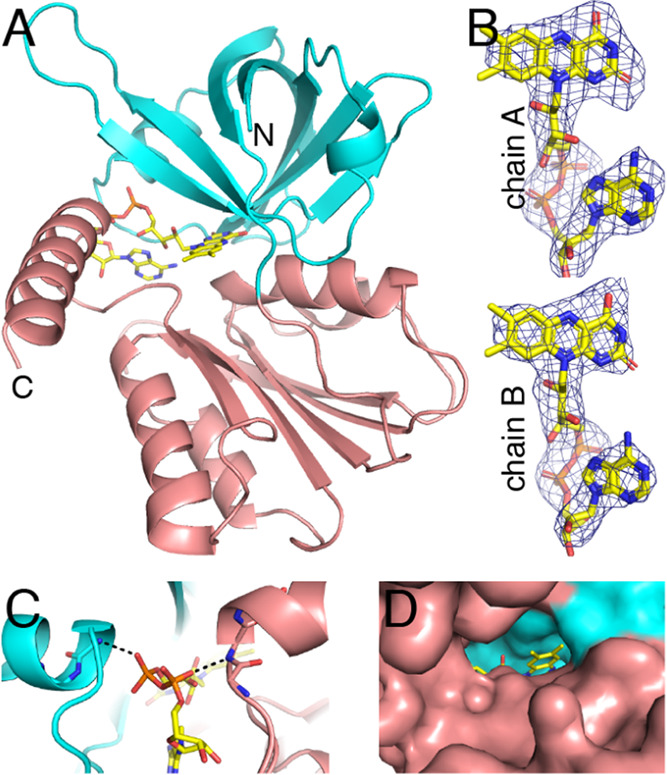 Figure 7