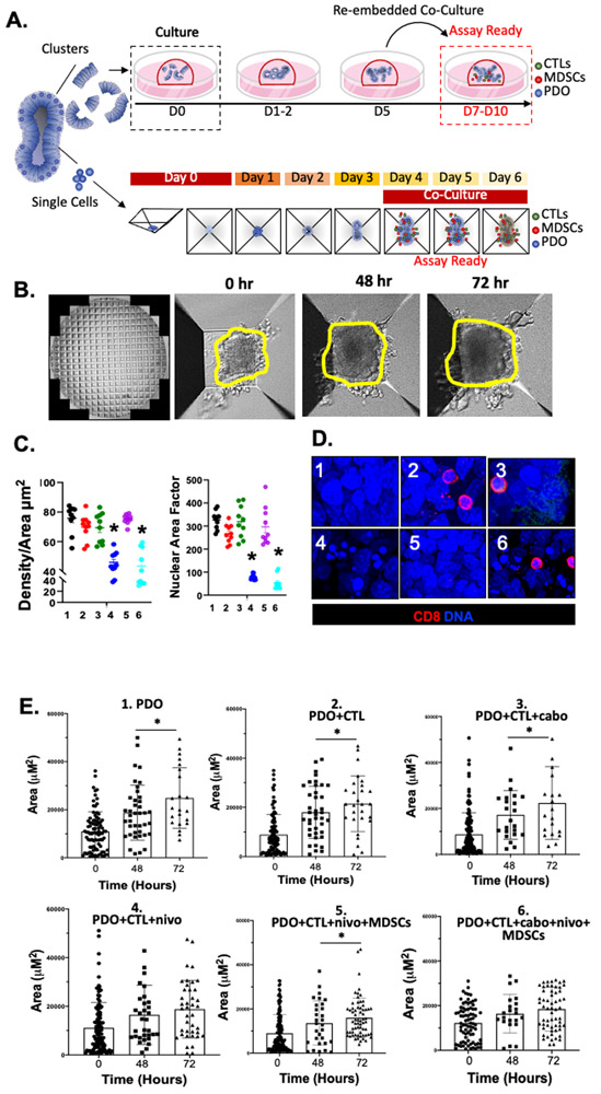 Figure 3: