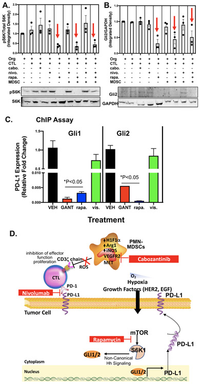 Figure 6: