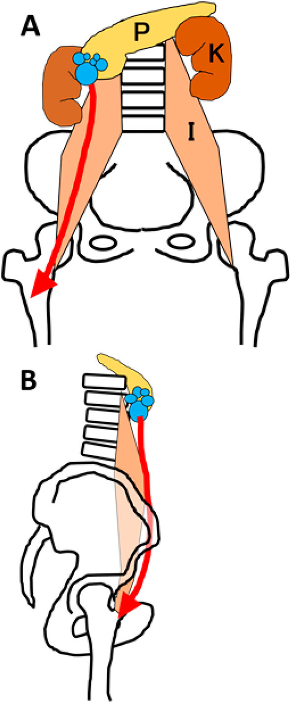 Figure 7.