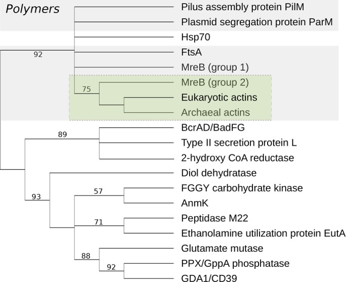 FIGURE 2: