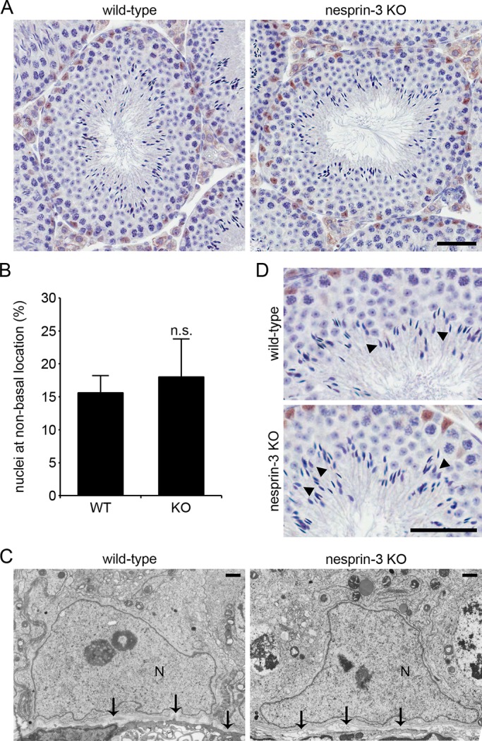 FIGURE 7: