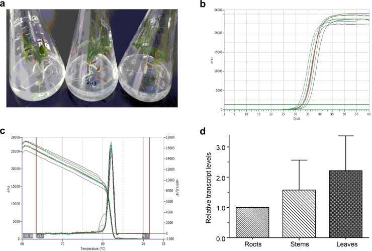 Fig 6