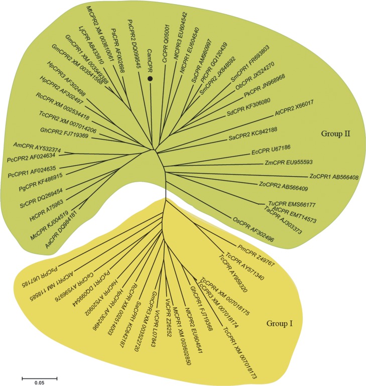 Fig 3