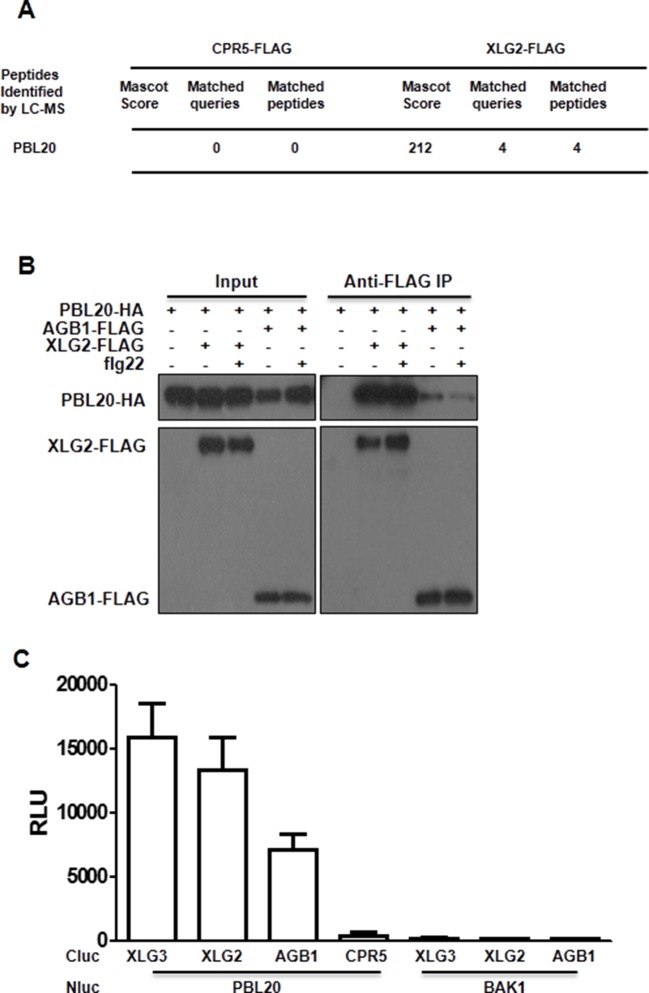 Figure 2—figure supplement 1.