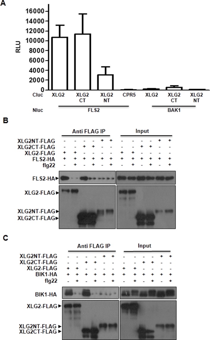 Figure 2—figure supplement 3.