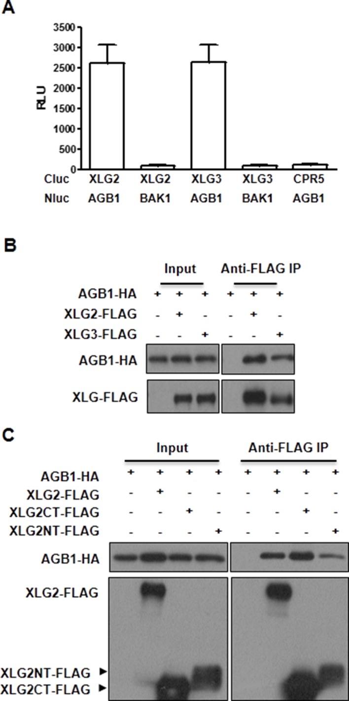 Figure 1—figure supplement 3.