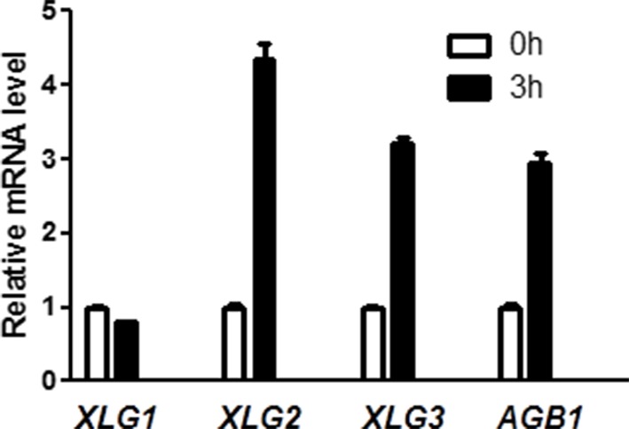 Figure 1—figure supplement 2.