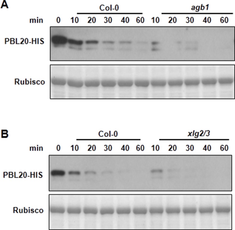 Figure 3—figure supplement 3.