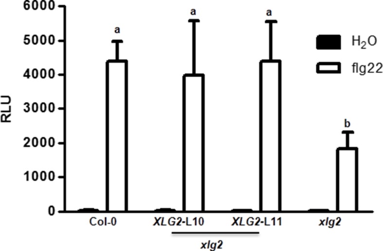 Figure 1—figure supplement 1.