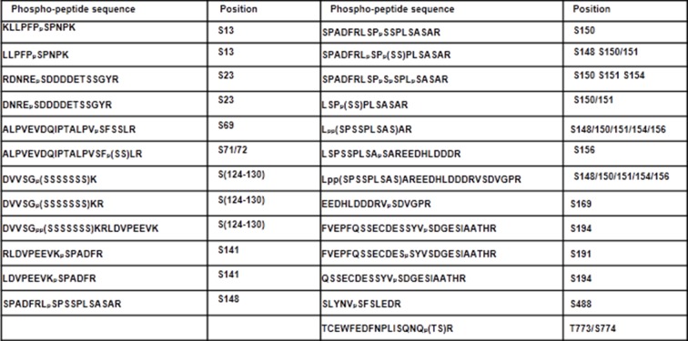 Figure 5—figure supplement 2.