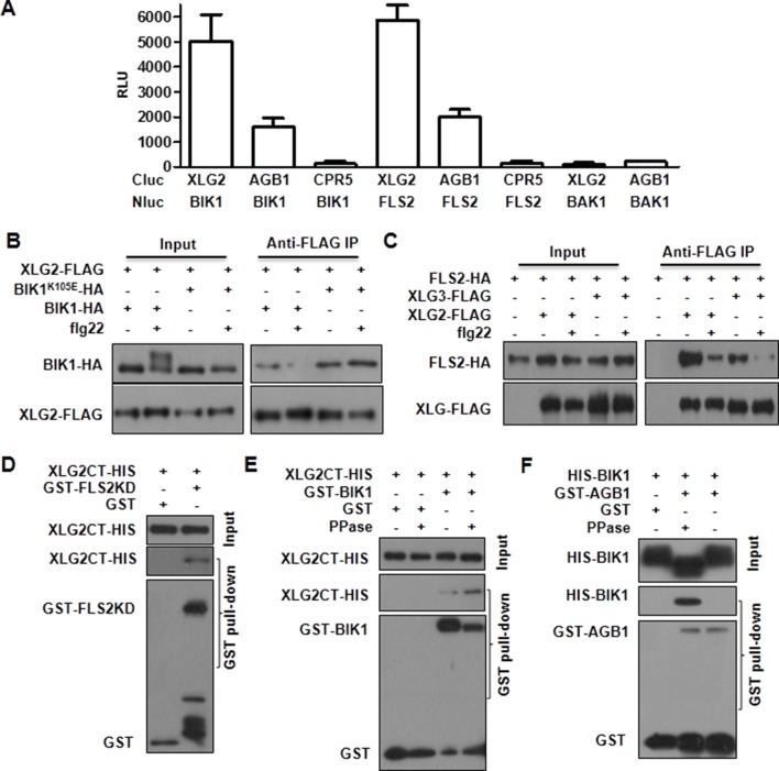 Figure 2.