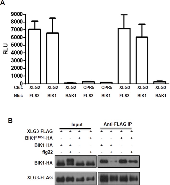 Figure 2—figure supplement 2.