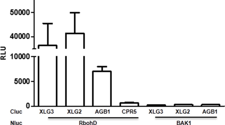 Figure 5—figure supplement 4.