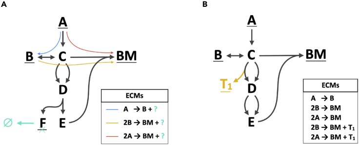 Figure 4