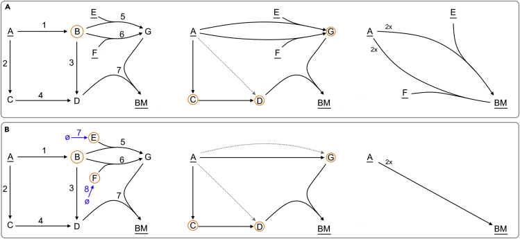 Figure 7