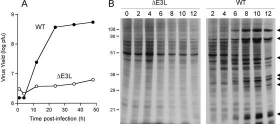 FIG. 5.