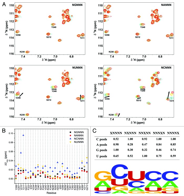 graphic file with name rna-11-766-g1.jpg