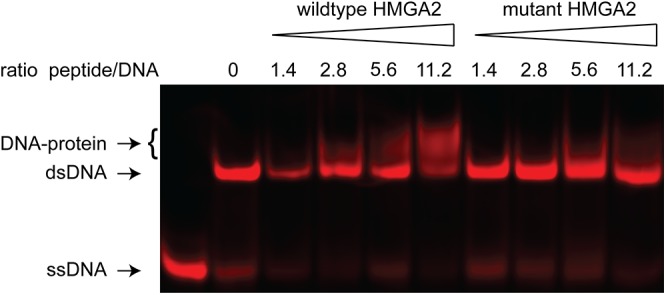 Fig 5