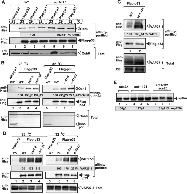 Fig 13