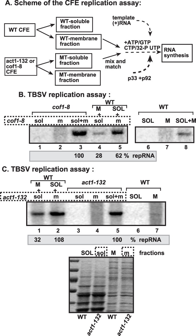 Fig 12