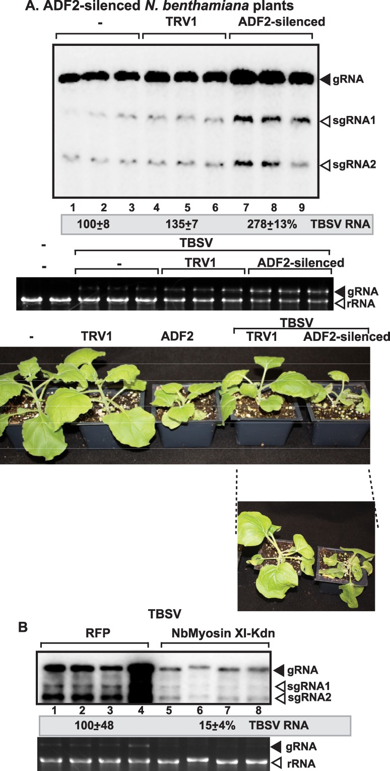 Fig 6