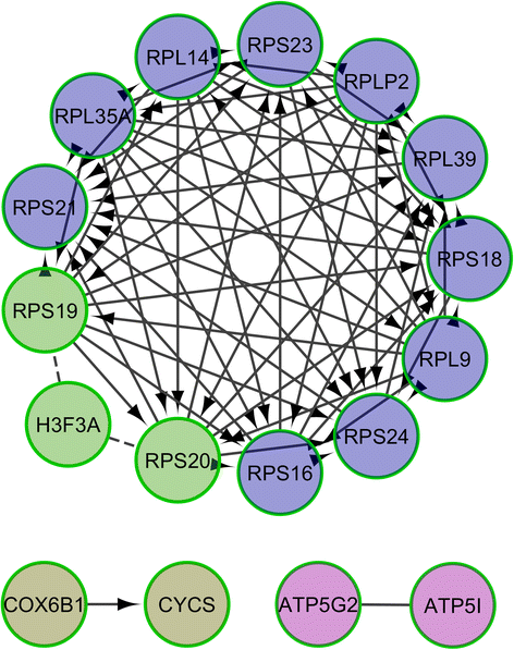 Fig. 4