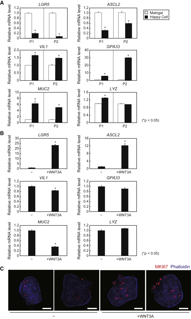 Figure 6