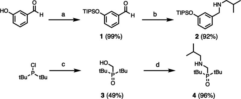 Scheme 1