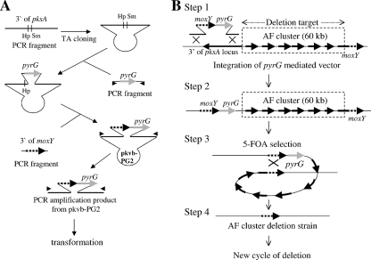 FIG. 1.