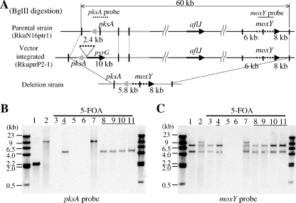 FIG. 3.