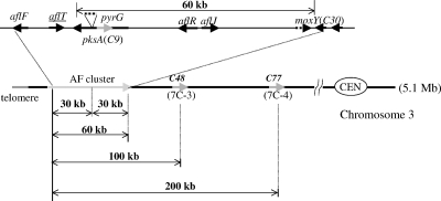 FIG. 5.