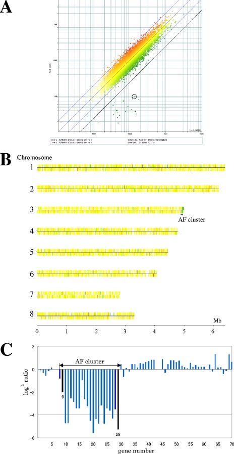 FIG. 6.