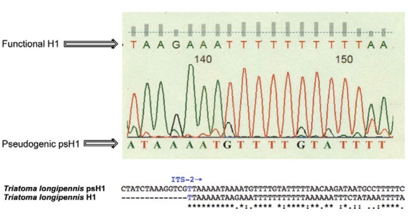 Fig. 1: