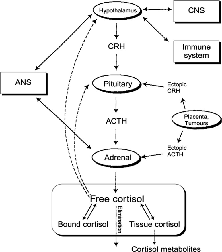 Fig. 2