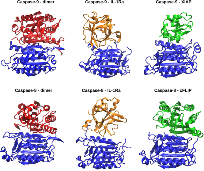 Figure 5.