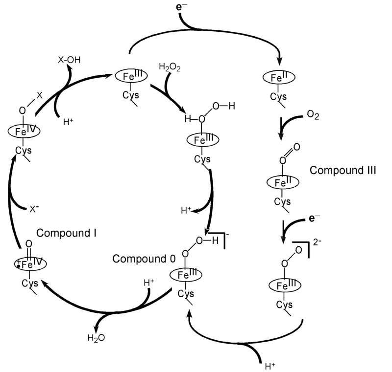 Scheme I