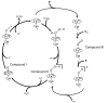 Scheme I