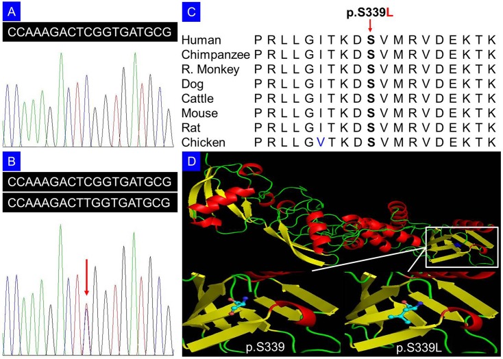 Fig 2