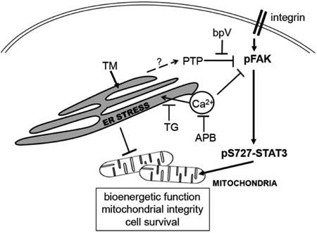 graphic file with name nihms876410u1.jpg