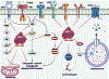 Figure 3: