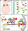 FIG. 6.