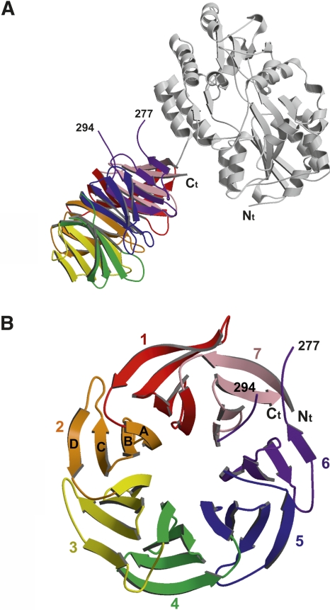 Figure 1.