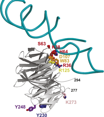 Figure 6.