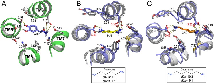 Fig 3