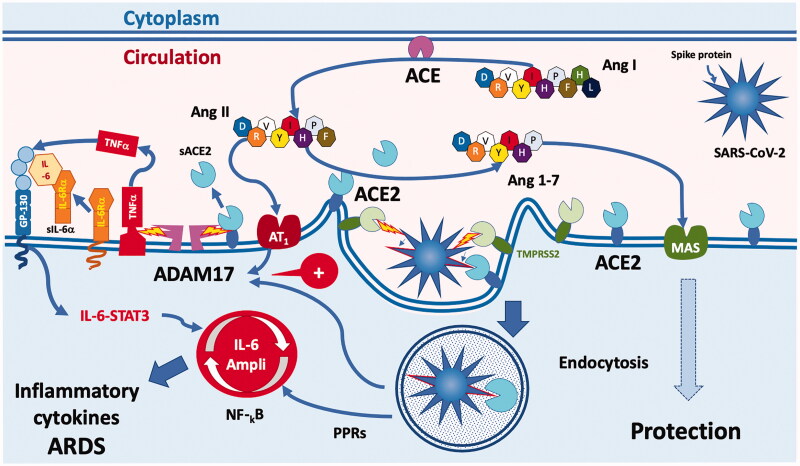 Figure 4.