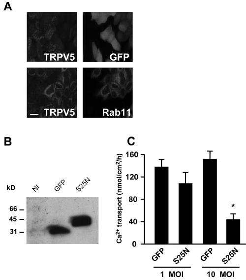 FIG. 7.