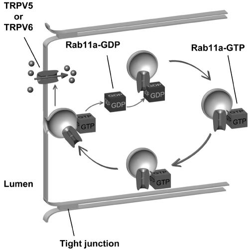 FIG. 8.