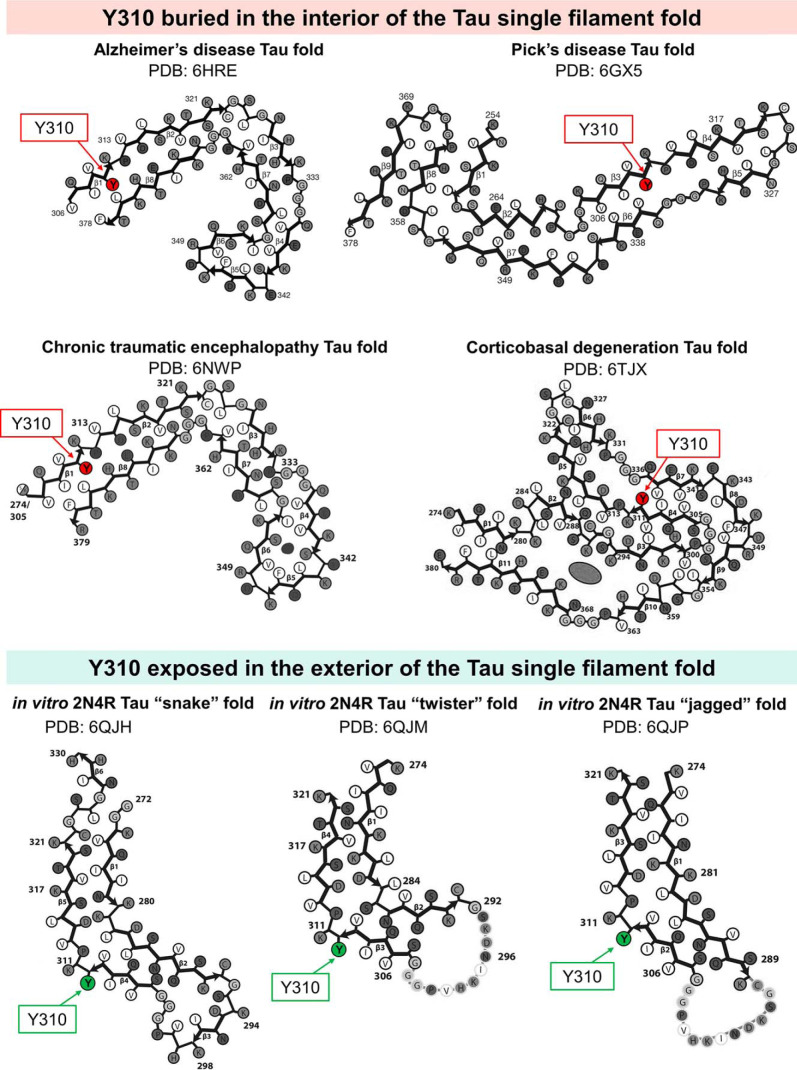 Figure 10.