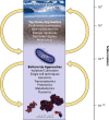FIG. 4.